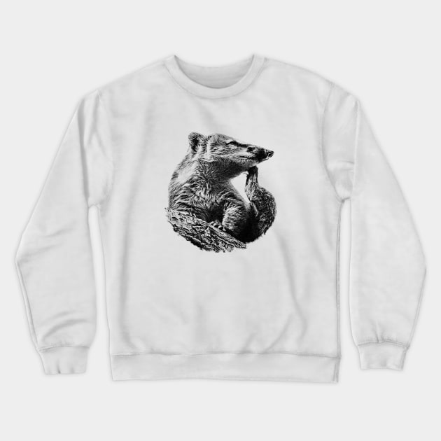 Coati Crewneck Sweatshirt by Guardi